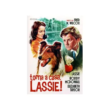 Torna a Casa Lassie