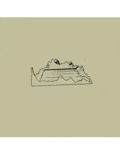 Gonzalez Jose' - Veneer