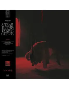 Knocked Loose - A Tear In The Fabric Oflife - (CD)