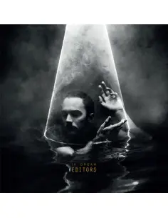 Editors - In Dream (Vinyl Clear)