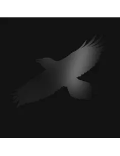 Sigur Ros - Odins Raven Magic - (CD)