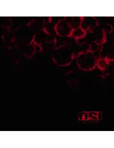 Osi - Blood
