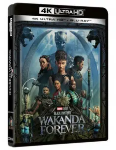 Black Panther - Wakanda Forever (4K+Br) + Poster