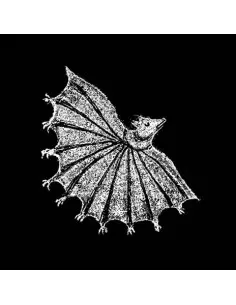 Xiu Xiu - Ignore Grief (Silver Ghost Edition)