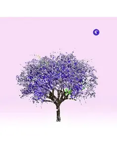 Eels - Tomorrow Morning