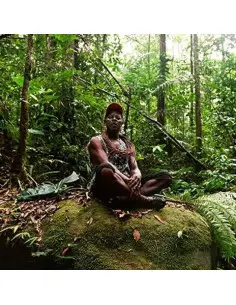 Polobi and The Gwo Ka Masters - Abri Cyclonique