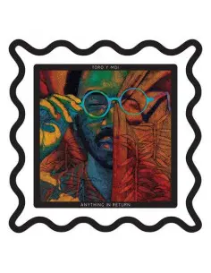 Toro Y Moi - Anything In Return (10Thanniversary)