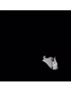 Moses Bob - Day Gone By