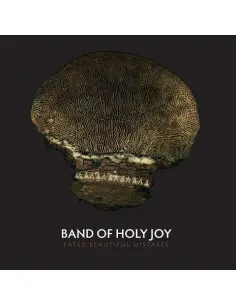 Band Of Holy Joy - Fated Beautiful Mistakes