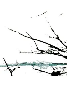 Tenhi - Vare - (CD)