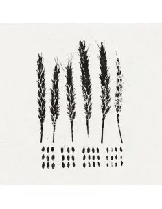 Lo! - The Gleaners - (CD)