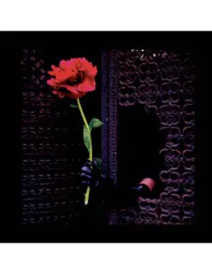 Crush Of Souls - (A) Void Love (Smoked Edition)