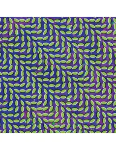 Animal Collective - Merriweather Post Pavillion