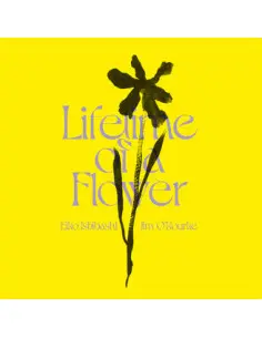 Eiko Ishibashi, Jim O'Rourke - Lifetime Of A Flower