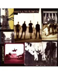 Hootie & The Blowfish - Cracked Rear View (Atlantic 75 Series) 2Lp 45 Rpm