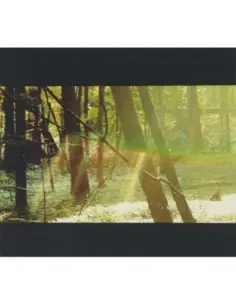 Childish Gambino - Camp