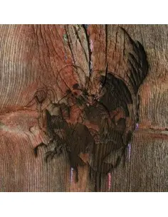 Avery Tare S Slasher Flicks - Enter The Slasher House