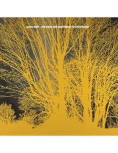 Nada Surf - The Stars Are Indifferent To Astronony