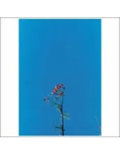 Joanna Newsom - And The Ys Street Band