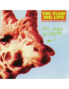 The Flaming Lips - This Here Giraffe