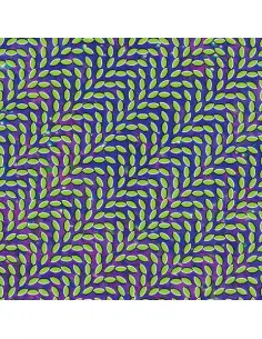 Animal Collective - Merriweather Post Pavilion: 15Th Anniver