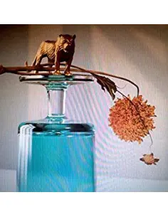 Beirut - Gallipoli (Vinyl Green Limited Edt.)