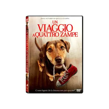 Un Viaggio A Quattro Zampe