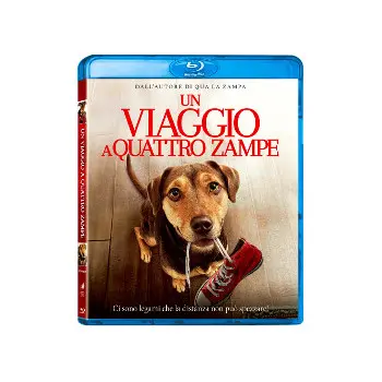 Un Viaggio A Quattro Zampe (Blu Ray)