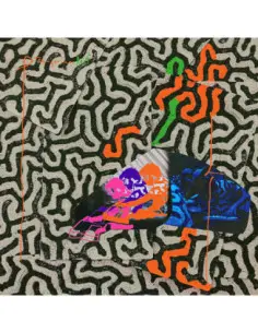 Animal Collective - Tangerine Reef