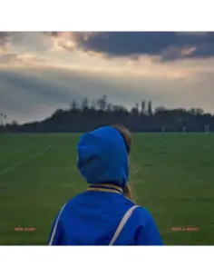 Rozi Plain - What A Boost