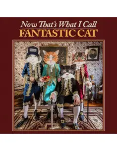 Fantastic Cat - Now That'S What I Call Fantastic Cat