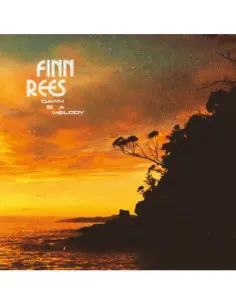 Rees Finn - Dawn Is A Melody