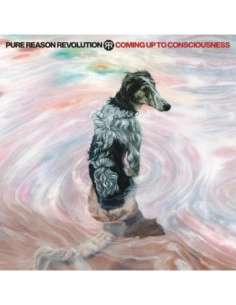 Pure Reason Revoluti - Coming Up To Consciousness - (CD and DVD)