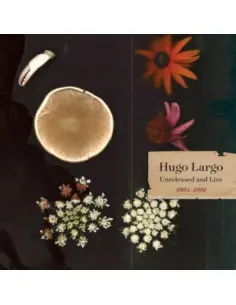 Hugo Largo - Huge, Large And Electric: Hugo Largo 1984-1991 - (CD)