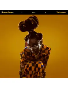 Little Simz - Sometimes I Might Be Introvert 2