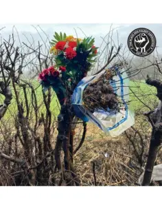The Black Dog - The Black Dog-Sleep Deprivation Cd - (CD)