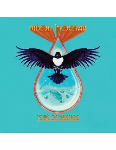 Mdou Moctar - Tears For Injustice