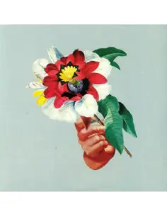 Maribou State - Kingdoms In Colour