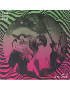 Thee Oh Sees - Live At Levitation
