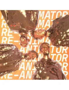 Everything Everything - Re-Animator