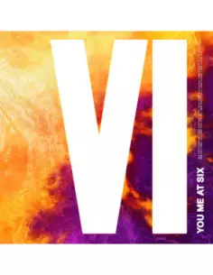 You Me At Six - Vi