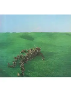 Squid - Bright Green Field - (CD)