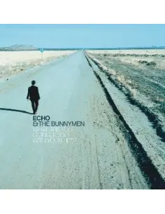 Echo and The Bunnymen - What Are You Going To Do With Your Life