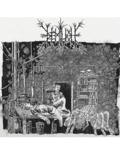 Demilich - Em9T2Ness Of Van2S1Ing / V34Ish6Ng Of Em - (CD)