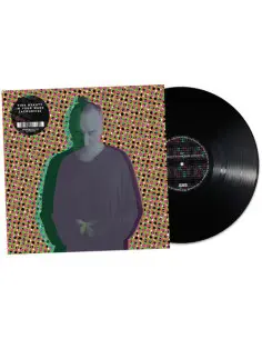 Fink - Beauty In Your Wake Acoustic