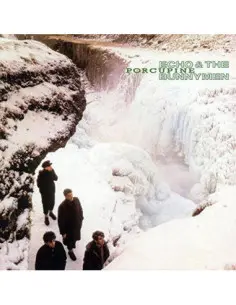 Echo and The Bunnymen - Porcupine - (CD)