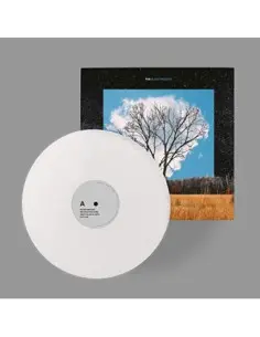 Fink - Bloom