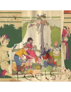 Animal Collective - Feels - (CD)