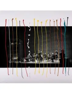 Asko, Schonberg Jameszoo - Music For 17 Musicians