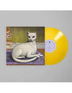 Mitski - Nothing S About To Happen To Me (Tansy Y